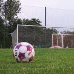 tecnico-trabzonspor-pede-demissao-apos-eliminacao-na-liga-europa