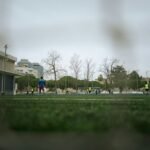 Análise do VAR: gol anulado por 1 cm do Grêmio contra Botafogo na análise da CBF analise-do-var-gol-anulado-1-cm-gremio-botafogo