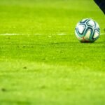 Palmeiras tem os dois jogadores mais valiosos do futebol brasileiro em 2026, diz estudo palmeiras-tem-os-dois-jogadores-mais-valiosos-do-futebol-brasileiro-em